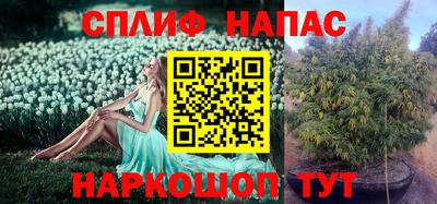 шишки Рязань