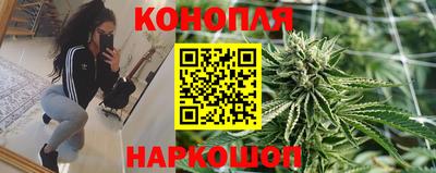 apvp Рыбинск