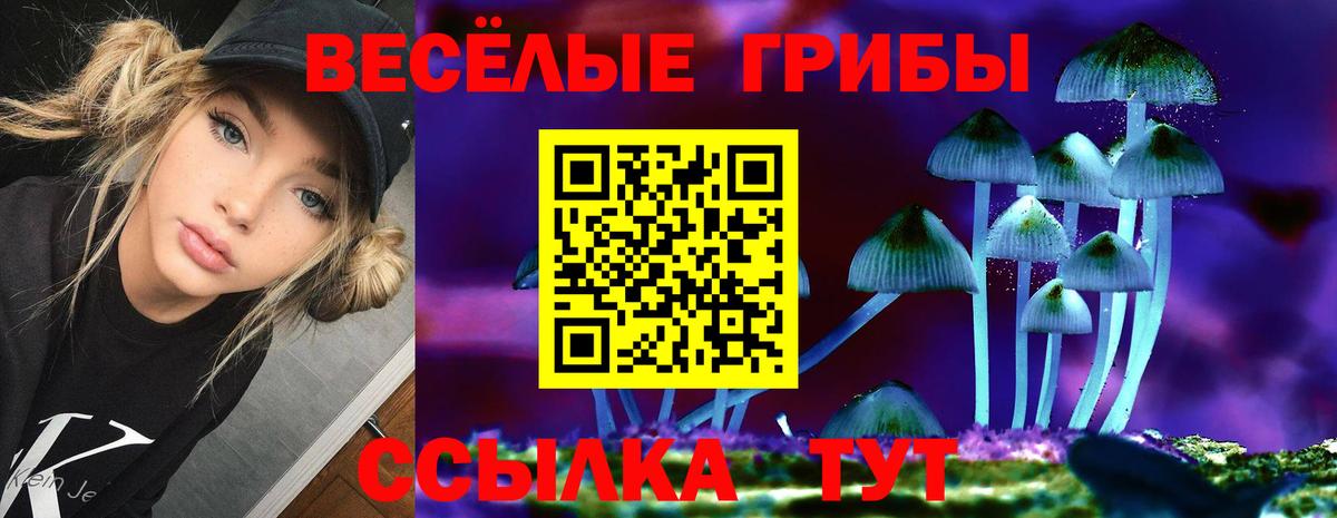 где купить   Вход с VPN  Омск  Галлюциногенные грибы GOLDEN TEACHER 